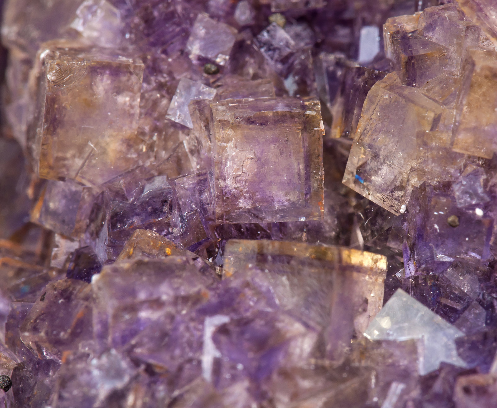 specimens/s_imagesAL9/Fluorite-ND96AL9d.jpg