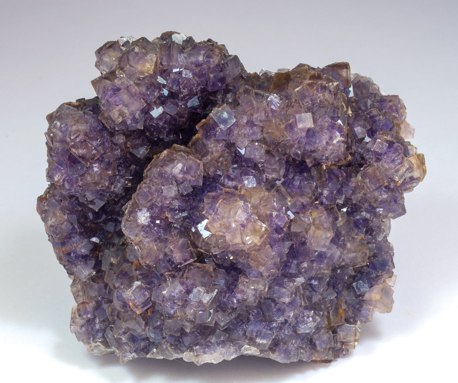 specimens/s_imagesAL9/Fluorite-ND96AL9f.jpg