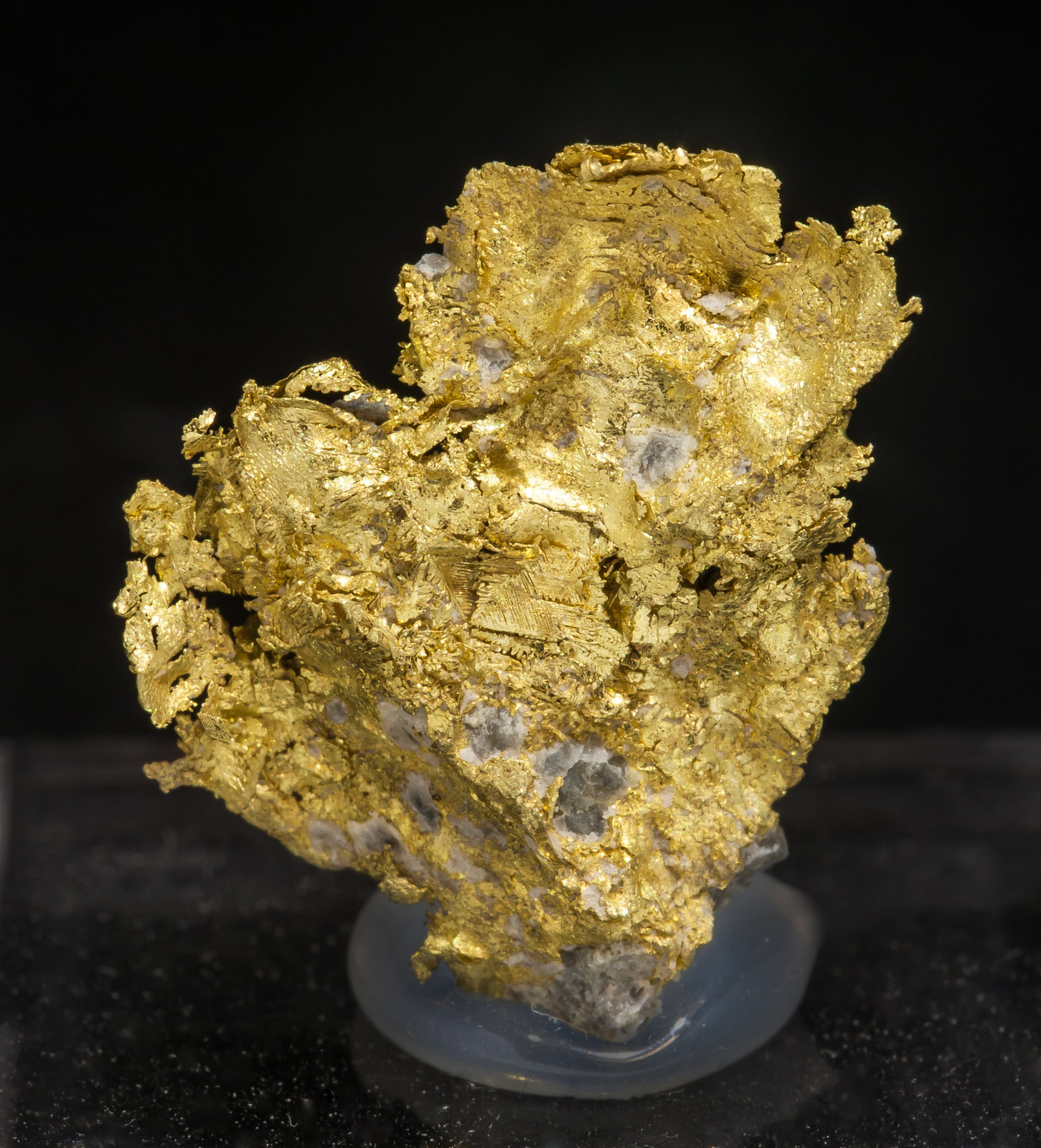 specimens/s_imagesAL9/Gold-TD98AL9f.jpg