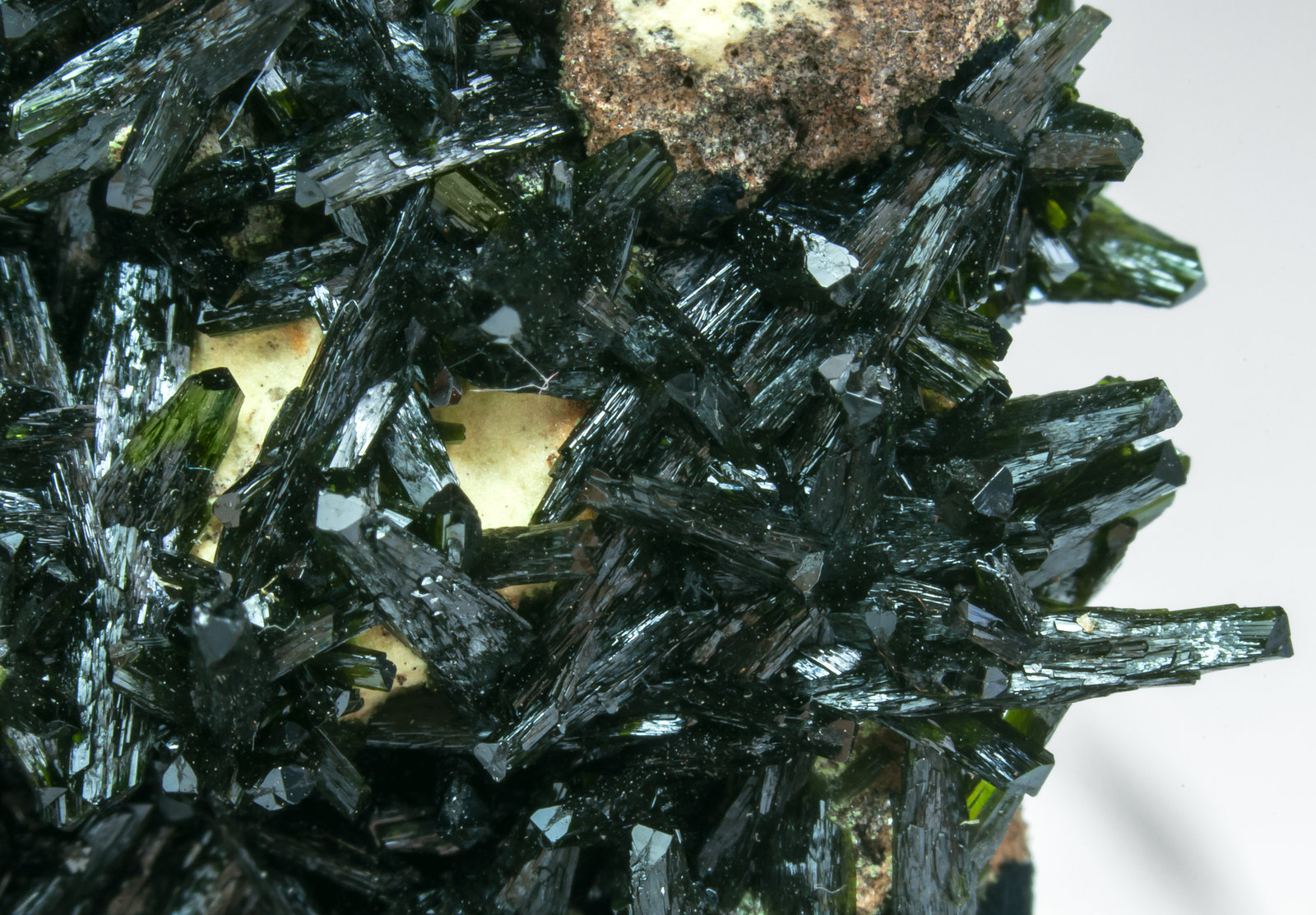 specimens/s_imagesAL9/Olivenite-TT96AL9d.jpg