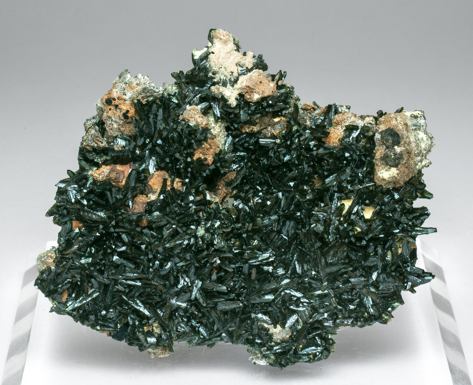 specimens/s_imagesAL9/Olivenite-TT96AL9f.jpg