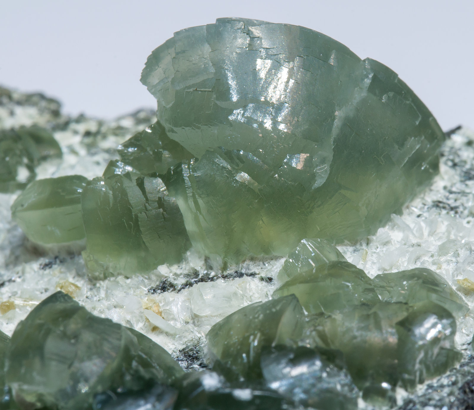 specimens/s_imagesAL9/Prehnite-EF37AL9d.jpg