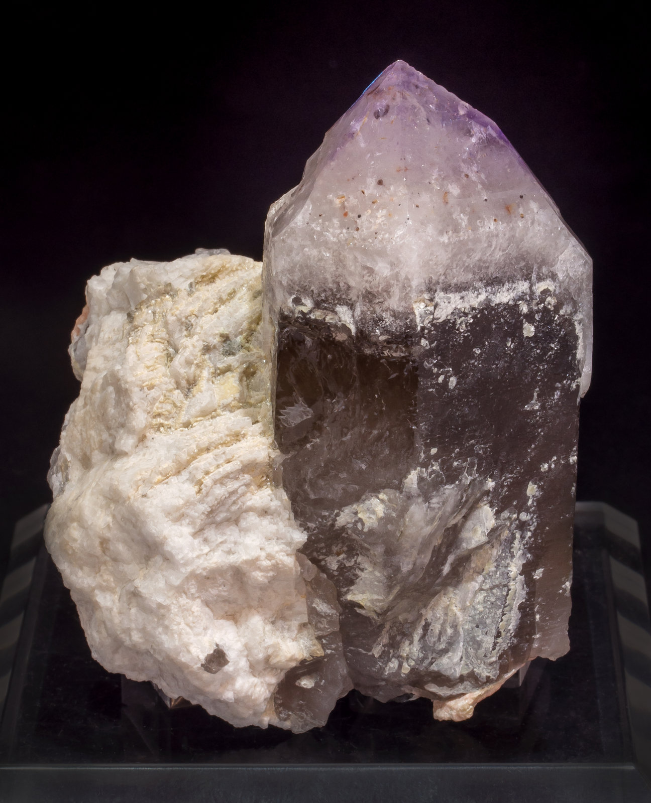 specimens/s_imagesAL9/Quartz_amethyst-NJ36AL9s.jpg