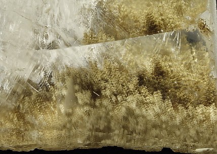 Calcite with Inclusions. Detail / Photo: Joaquim Calln