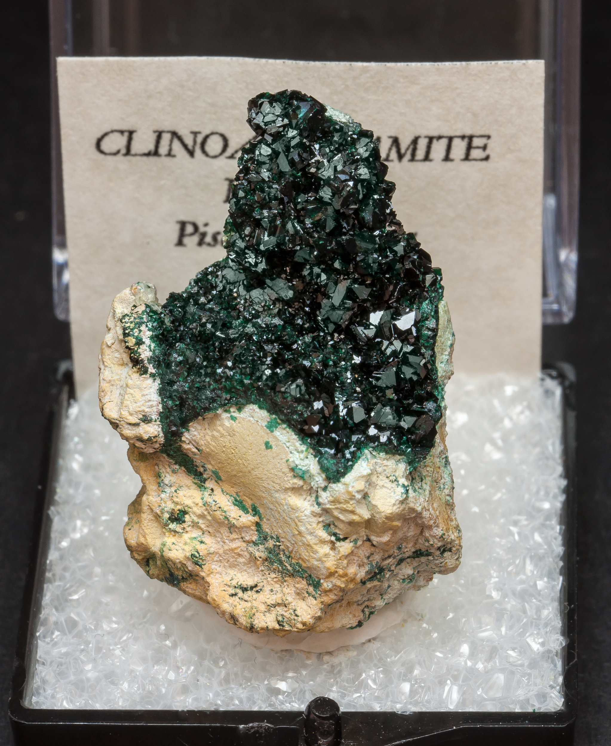 specimens/s_imagesAM0/Clinoatacamite-TA86AM0f.jpg