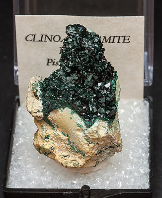 Clinoatacamite. 