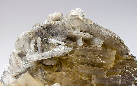 Fluorite with Baryte. 