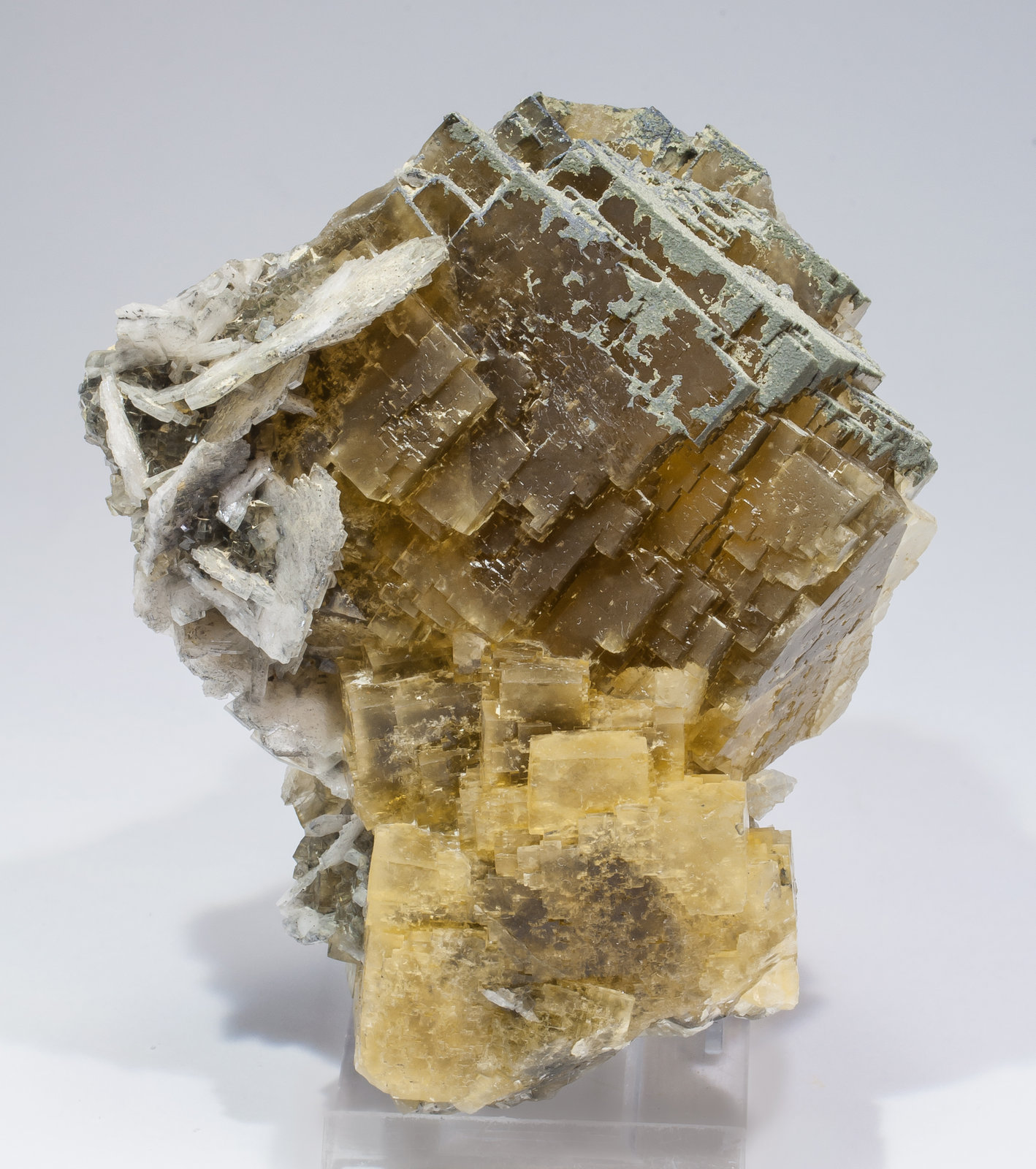 specimens/s_imagesAM0/Fluorite-EB49AM0f.jpg