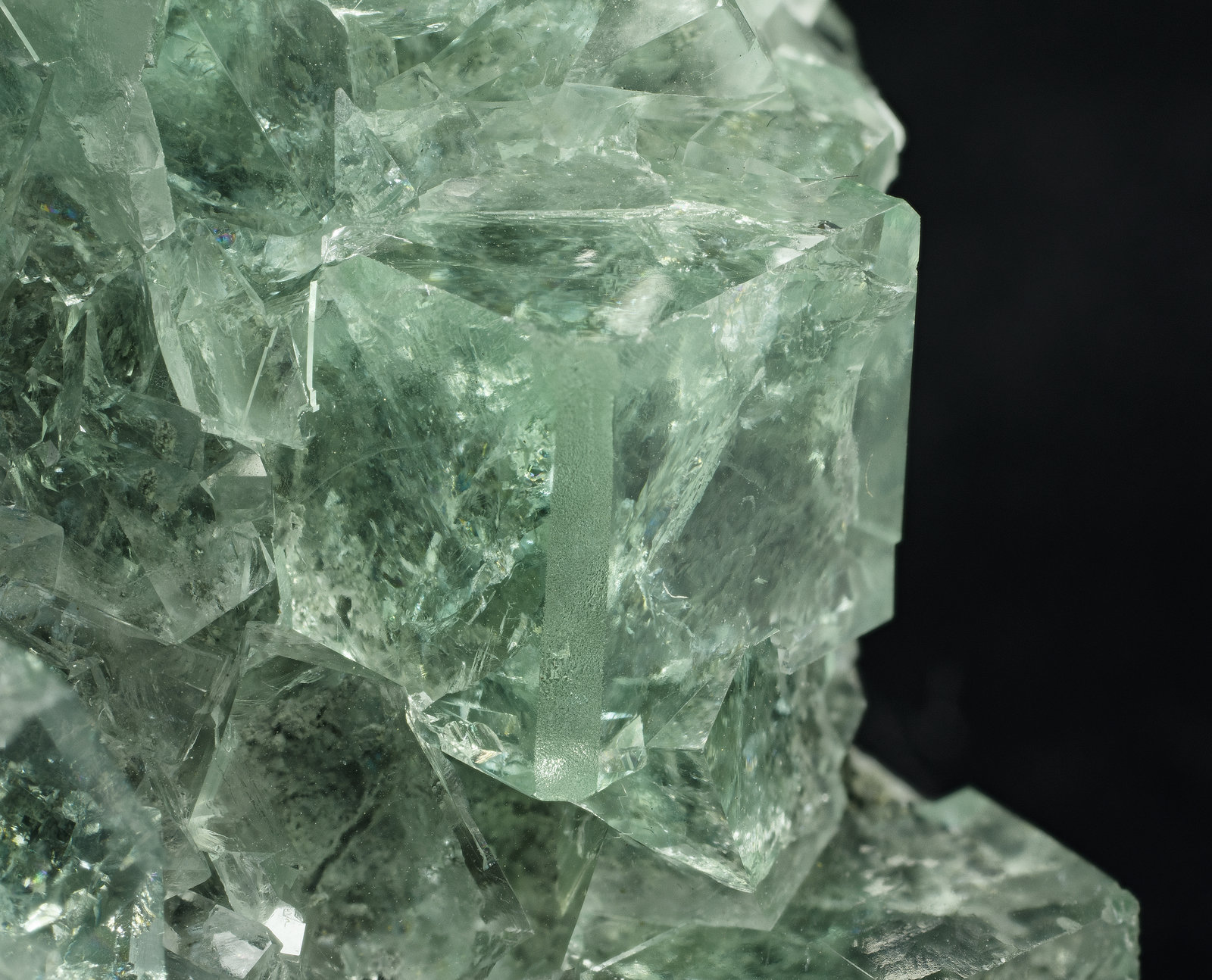 specimens/s_imagesAM0/Fluorite-EK89AM0_2384_d1.jpg