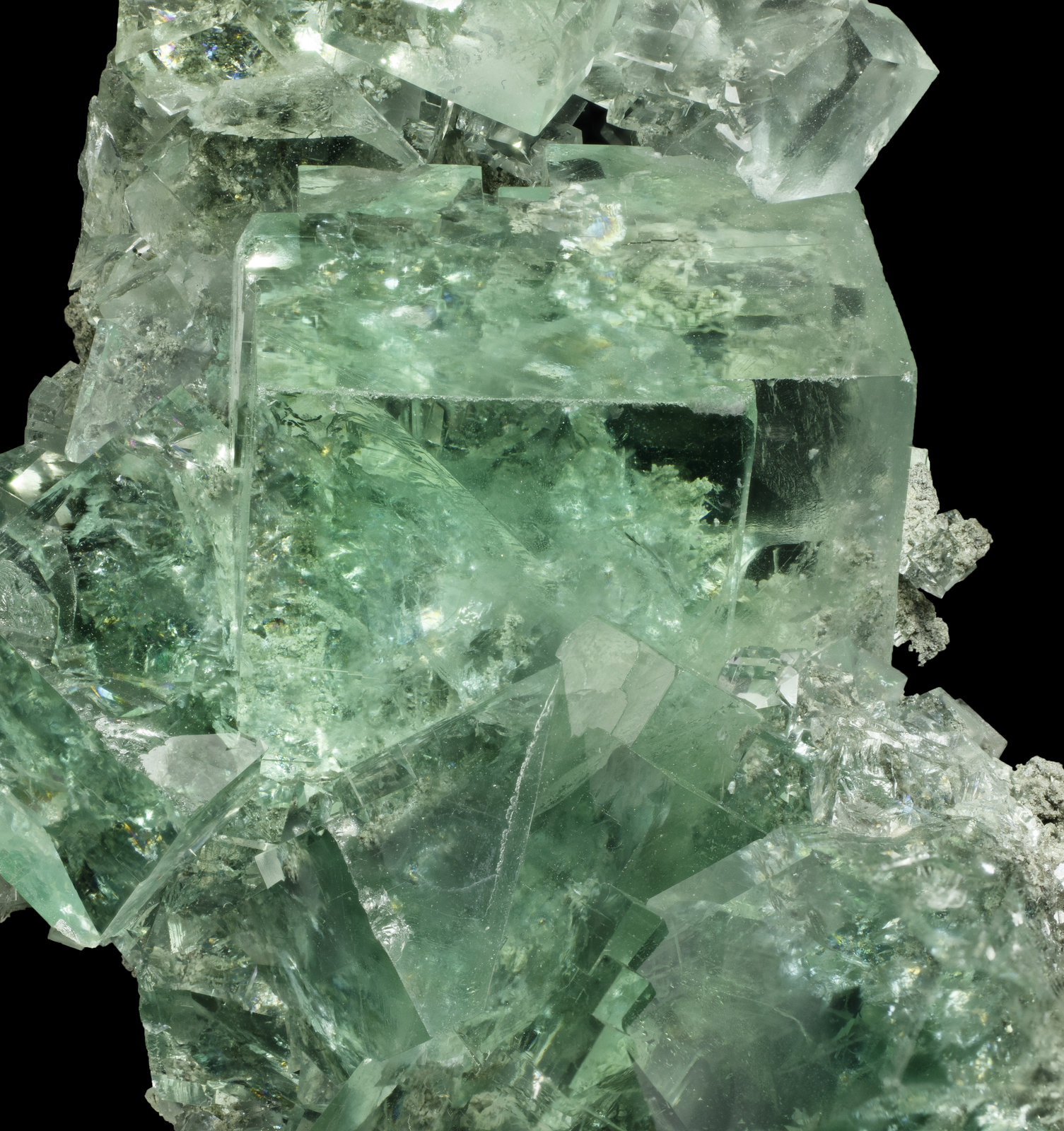 specimens/s_imagesAM0/Fluorite-EP89AM0_2418_d1.jpg