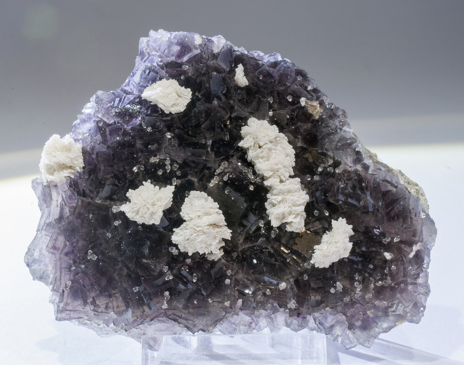 specimens/s_imagesAM0/Fluorite-ET76AM0f2.jpg