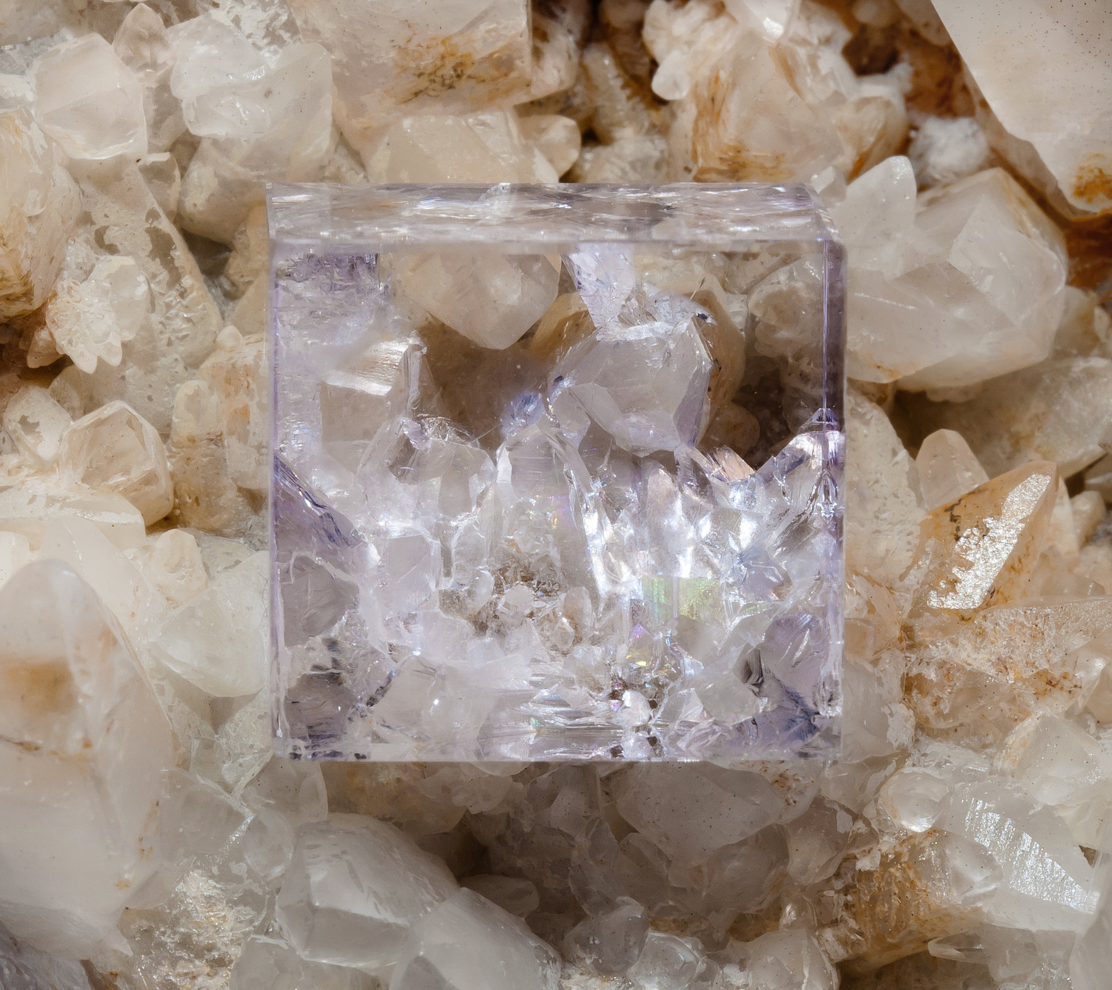specimens/s_imagesAM0/Fluorite-NH30AM0d.jpg