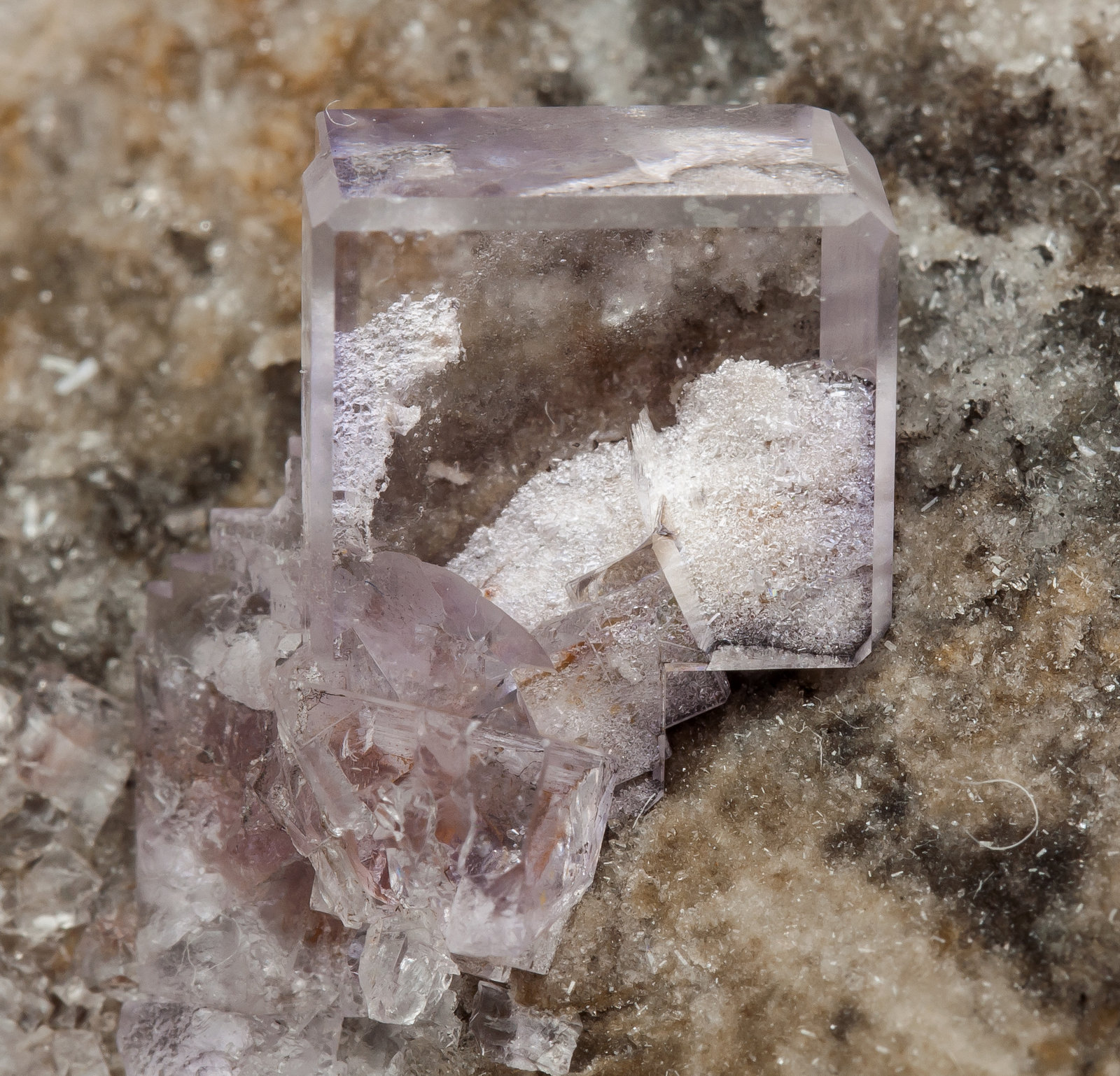 specimens/s_imagesAM0/Fluorite-NY36AM0d.jpg