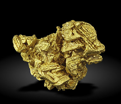 Gold. Rear / Foto: Joaquim Calln