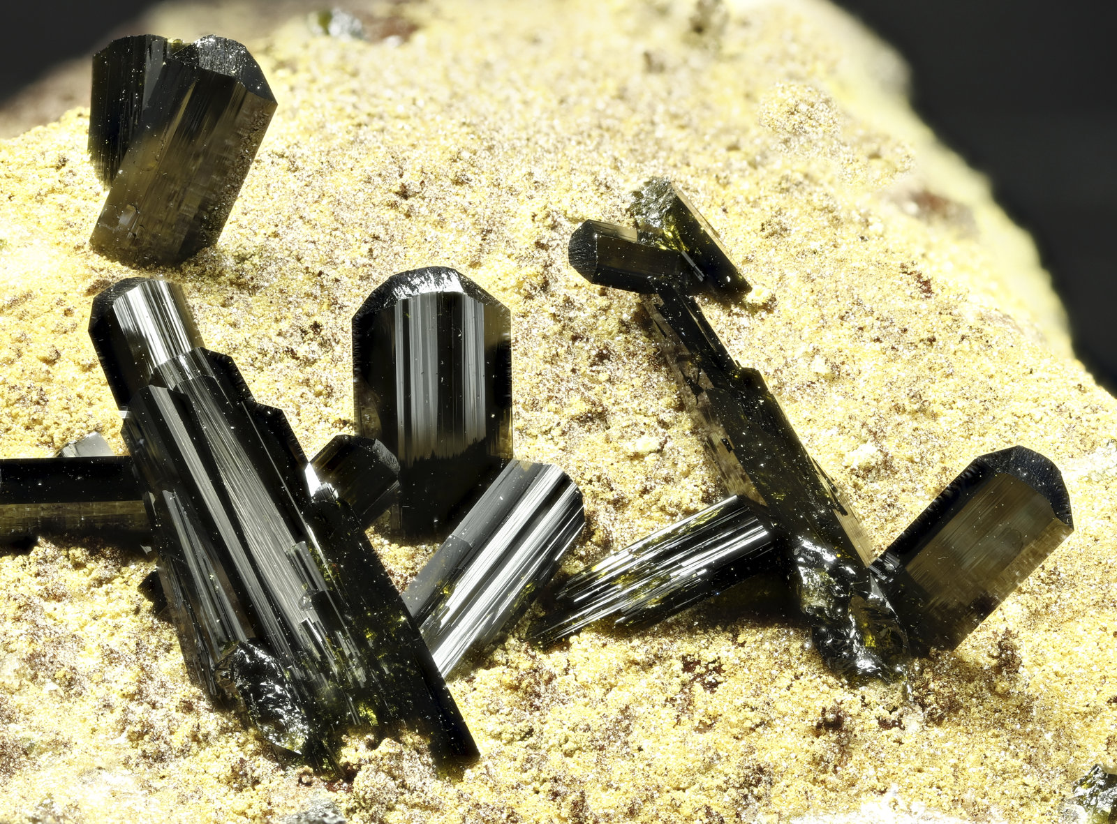 specimens/s_imagesAM0/Olivenite-TF49AM0_2699_d1.jpg