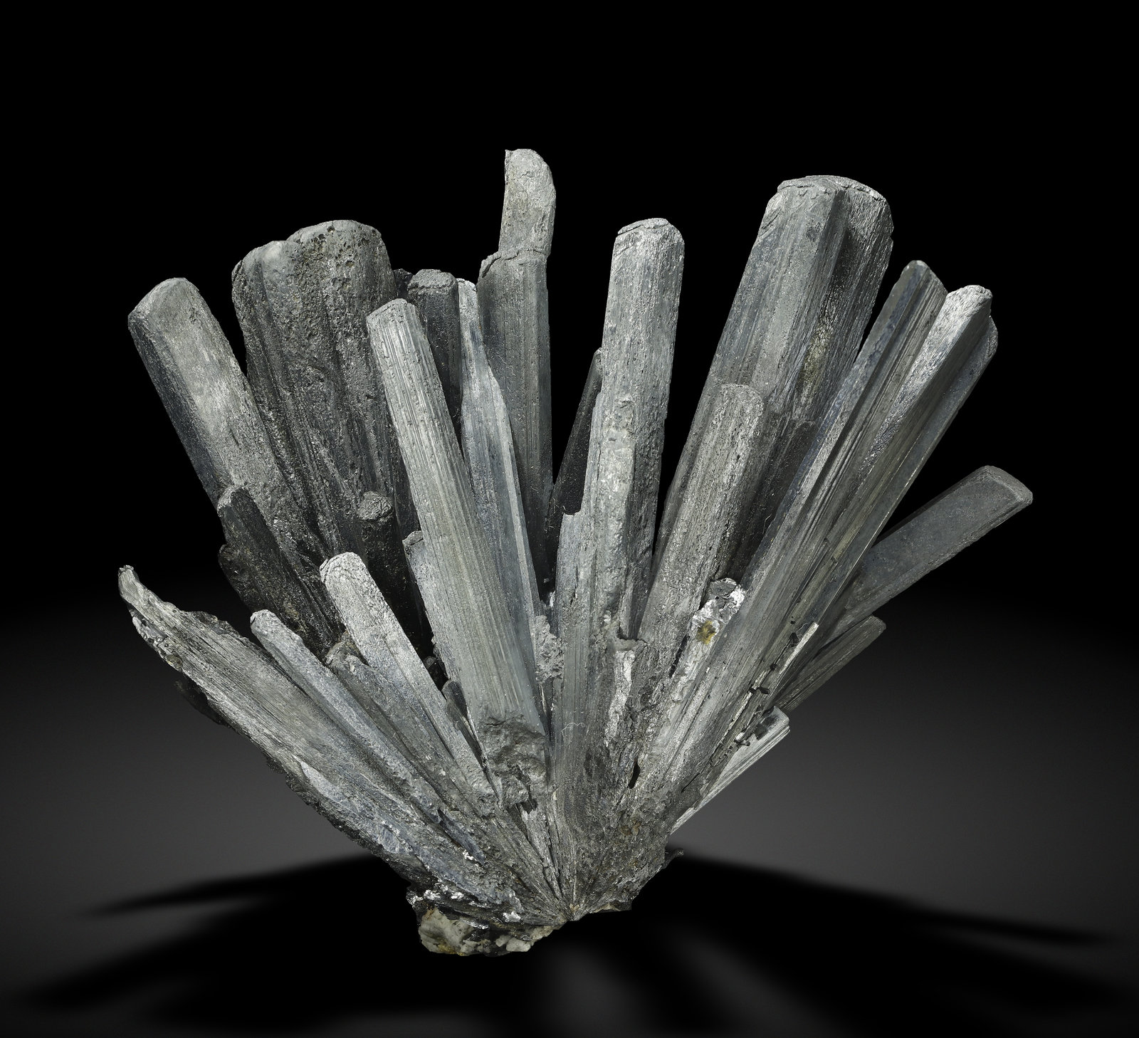 specimens/s_imagesAM0/Stibnite-TN53AM0_2490_f.jpg