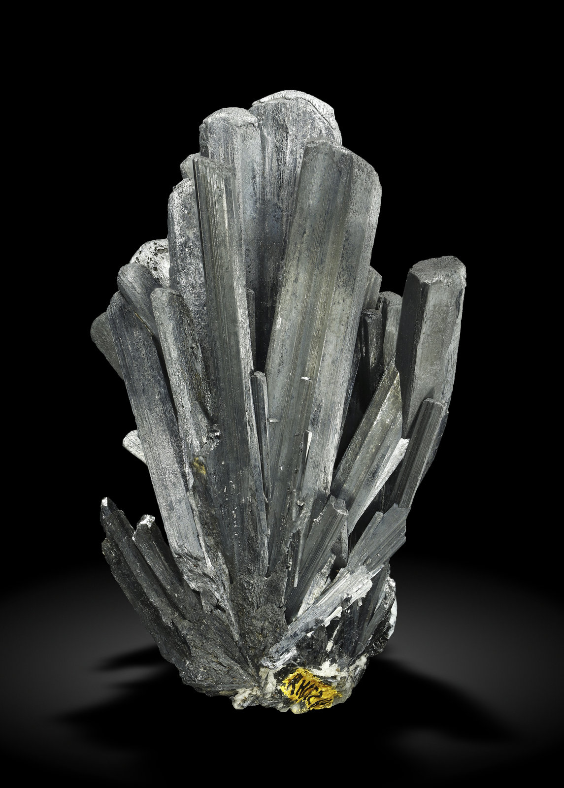 specimens/s_imagesAM0/Stibnite-TN53AM0_2527_s.jpg