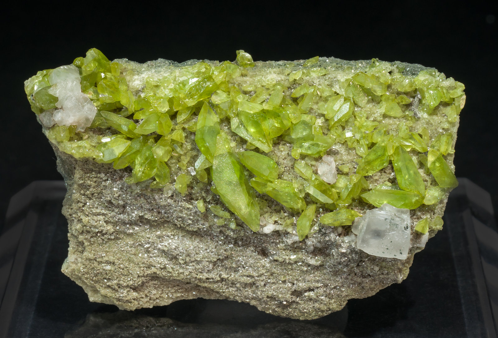 specimens/s_imagesAM0/Titanite-EF27AM0f.jpg