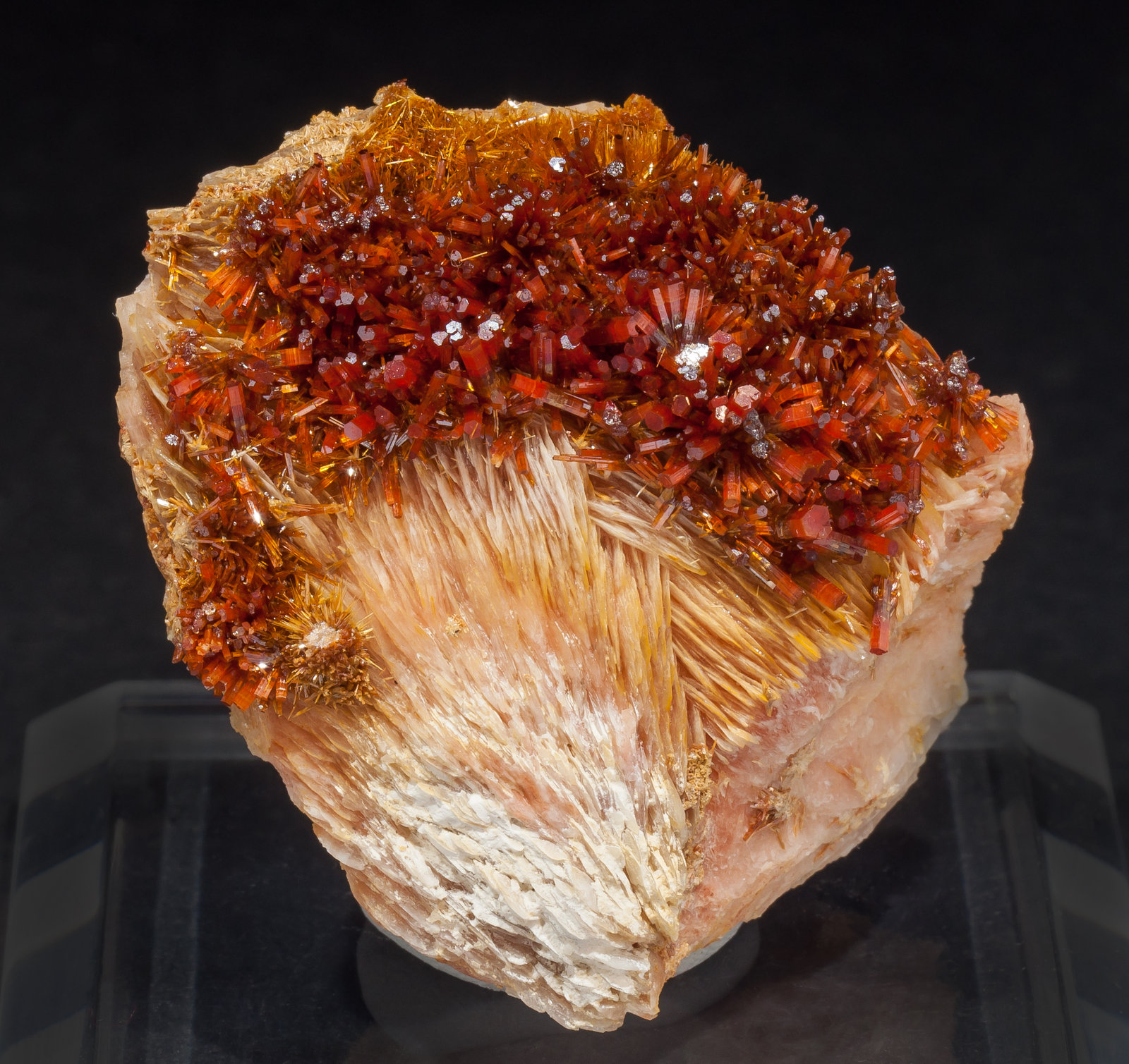 specimens/s_imagesAM0/Vanadinite-EA96AM0f.jpg