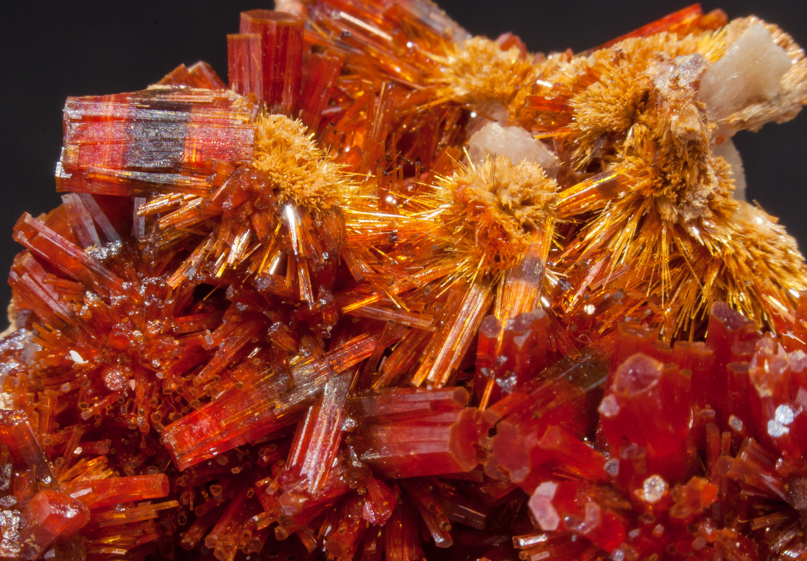 specimens/s_imagesAM0/Vanadinite-ED56AM0d.jpg