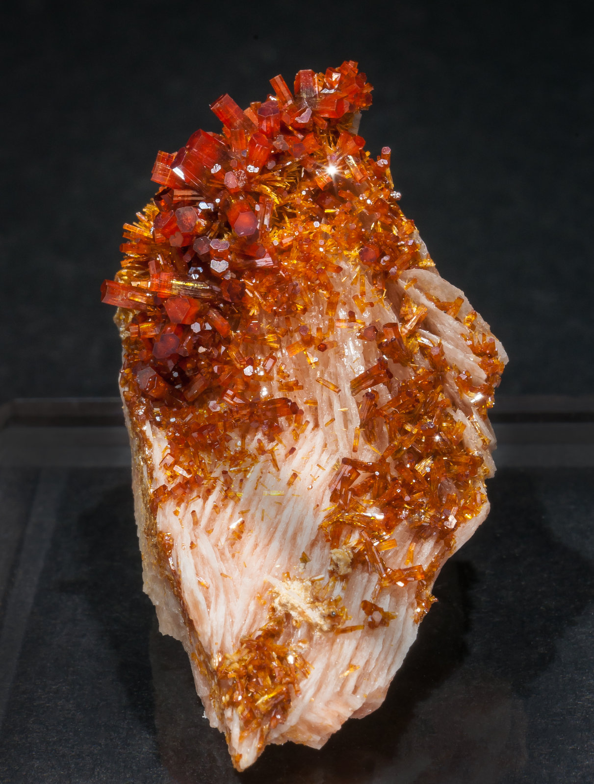 specimens/s_imagesAM0/Vanadinite-EF16AM0f.jpg