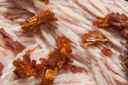 Vanadinite with Baryte. 