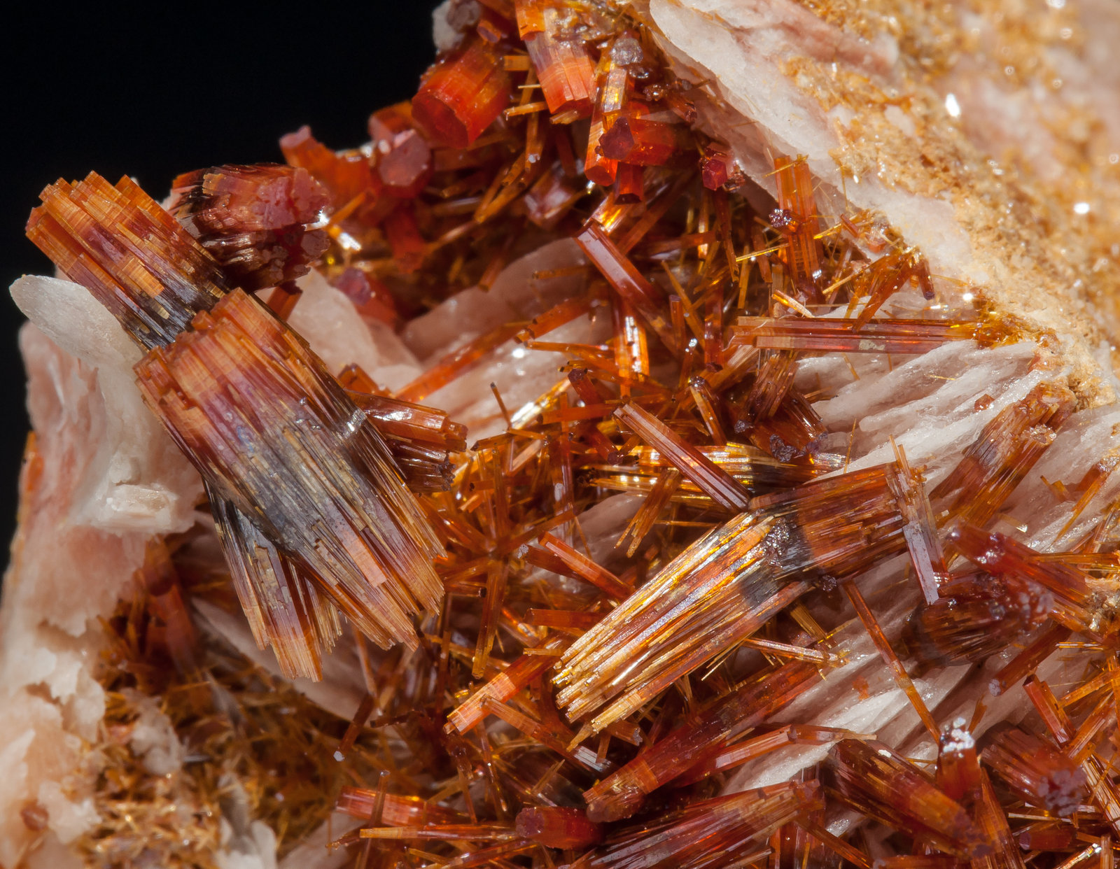 specimens/s_imagesAM0/Vanadinite-EG27AM0d.jpg