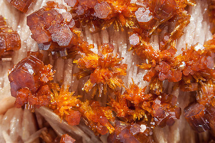 Vanadinite with Baryte. 