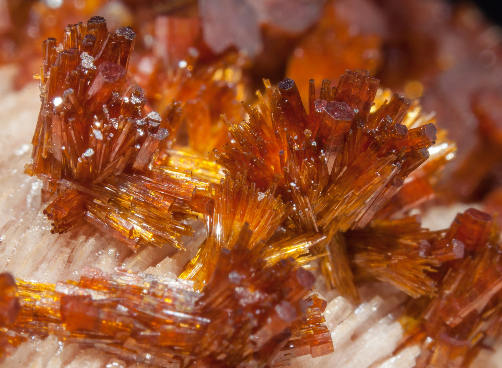 specimens/s_imagesAM0/Vanadinite-EH17AM0d2.jpg