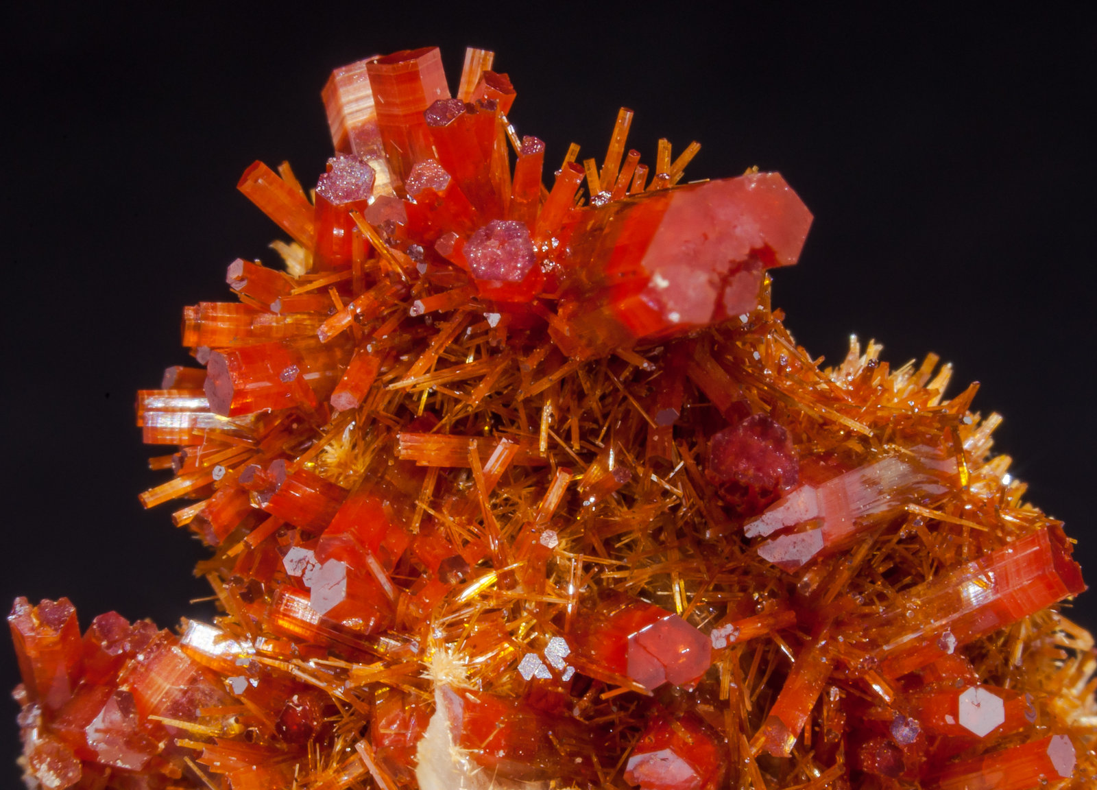 specimens/s_imagesAM0/Vanadinite-EY96AM0d.jpg