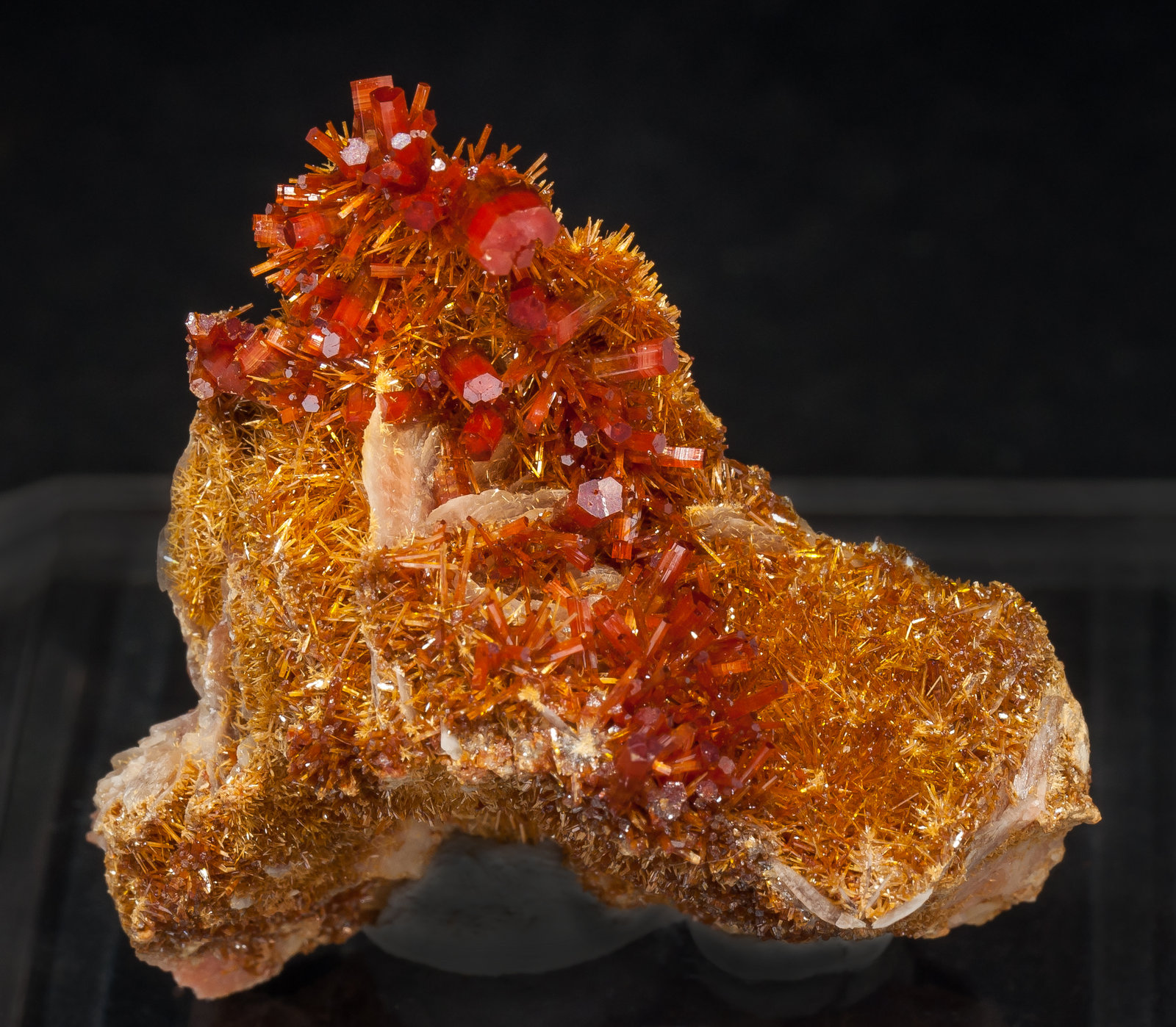 specimens/s_imagesAM0/Vanadinite-EY96AM0f.jpg