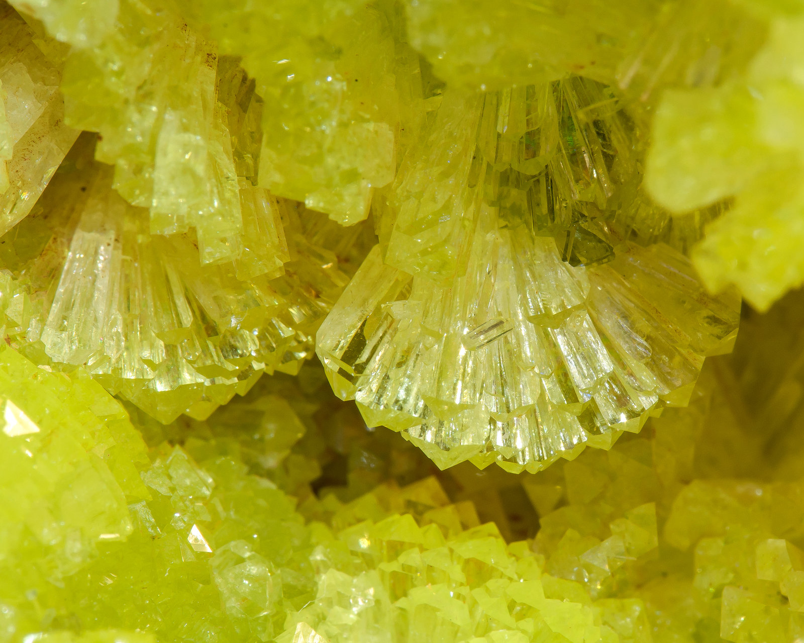 specimens/s_imagesAM1/Adamite-GX88AM1d.jpg