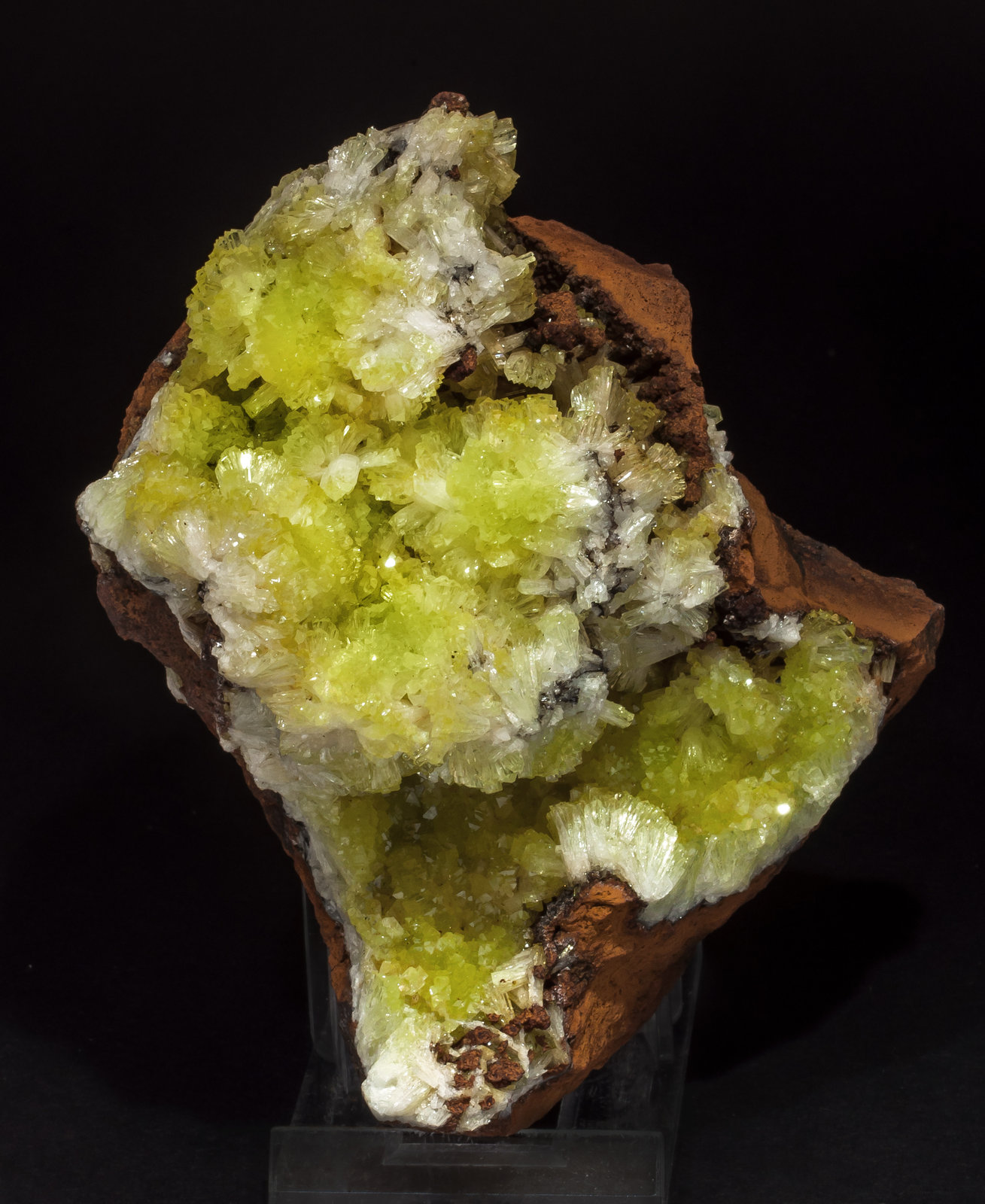 specimens/s_imagesAM1/Adamite-GX88AM1s.jpg