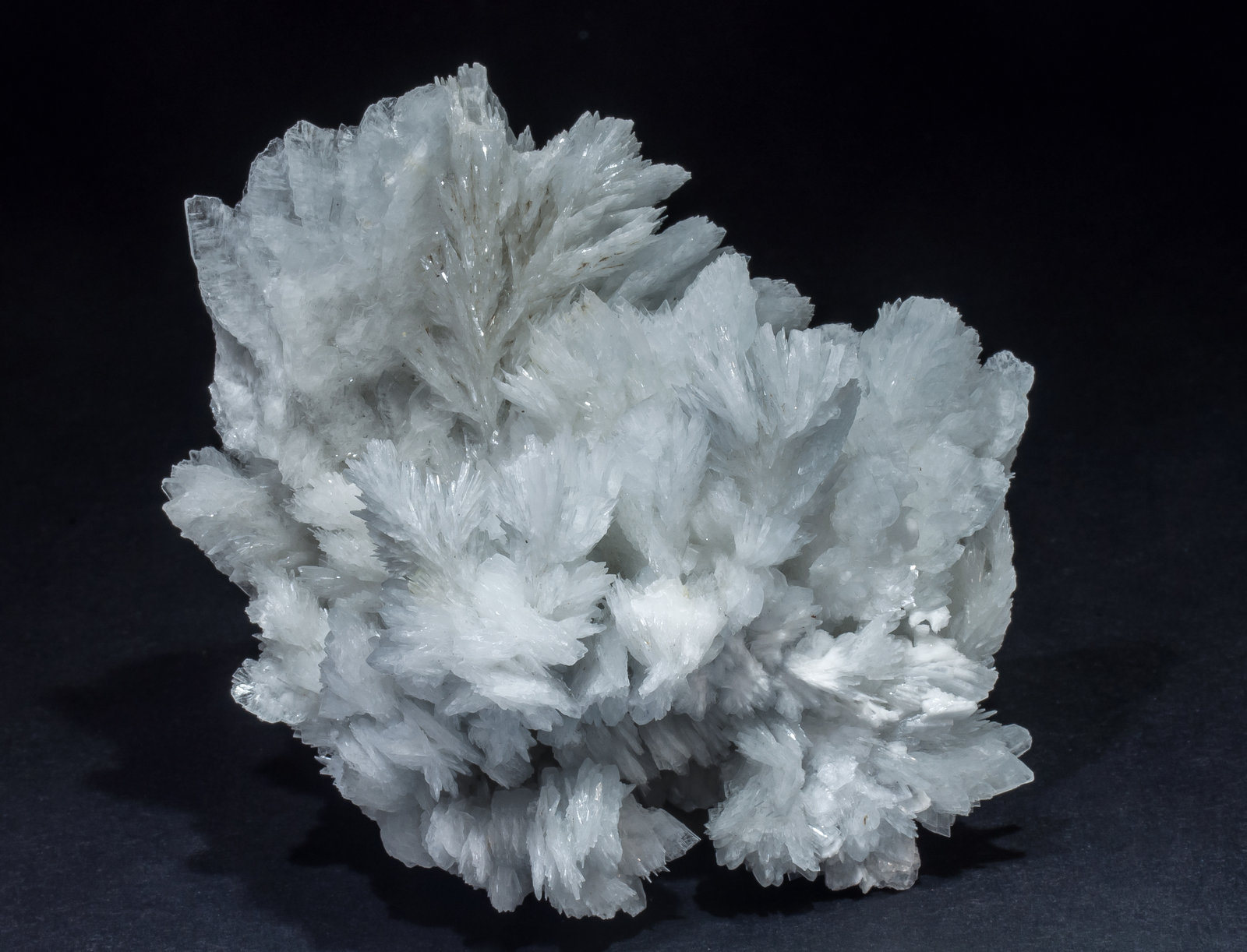 specimens/s_imagesAM1/Baryte-NA14AM1s.jpg