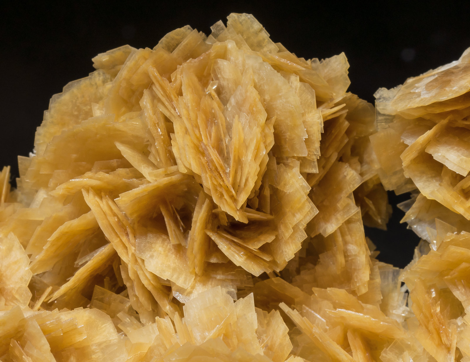 specimens/s_imagesAM1/Baryte-NC96AM1d.jpg