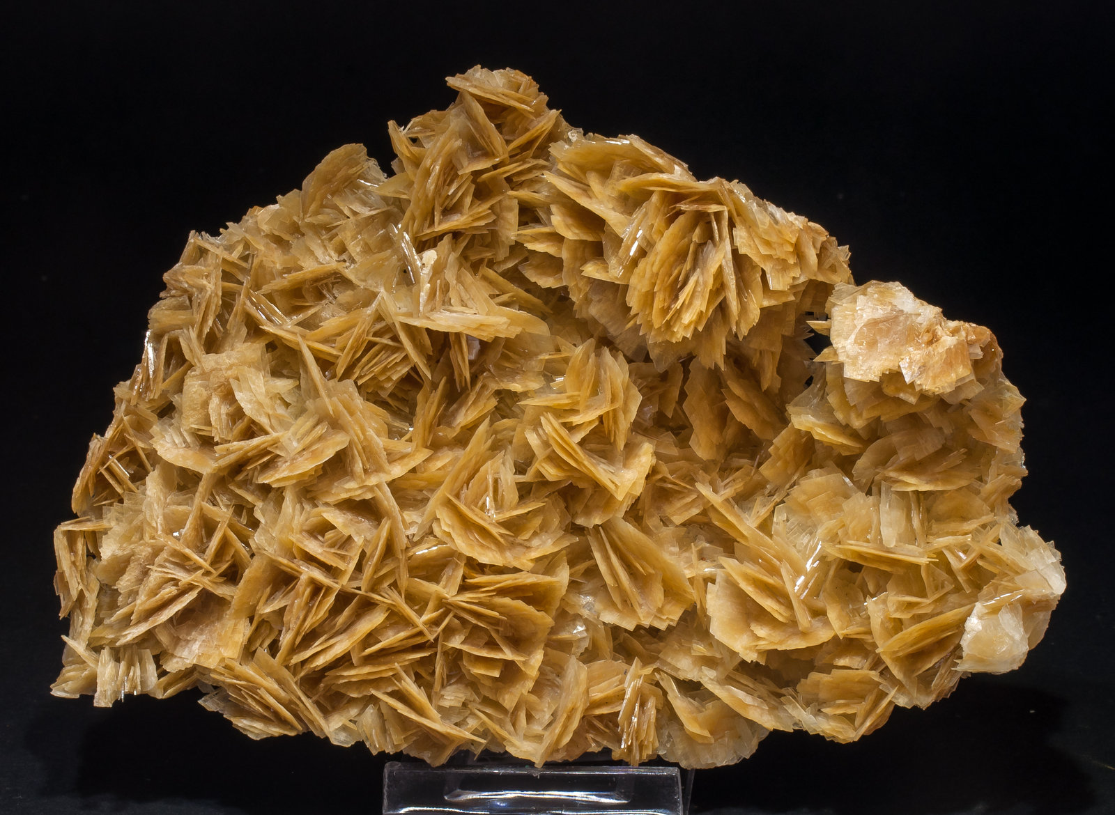 specimens/s_imagesAM1/Baryte-NC96AM1f.jpg