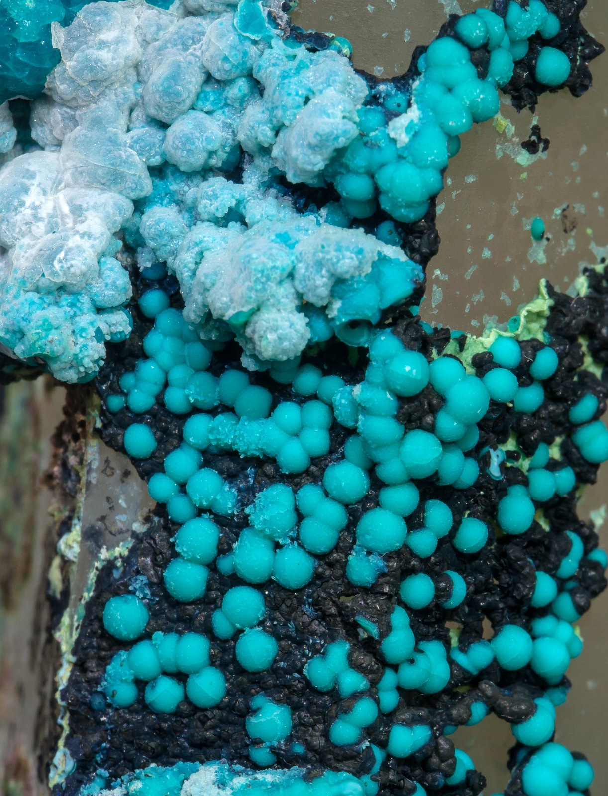 specimens/s_imagesAM1/Chrysocolla-TC7AM1d.jpg