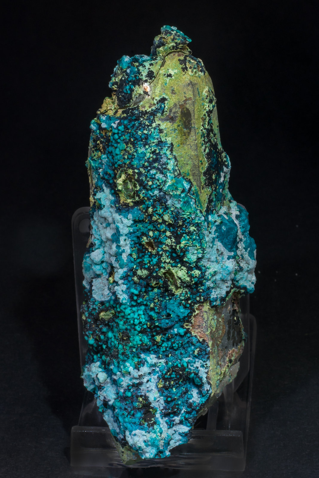 specimens/s_imagesAM1/Chrysocolla-TC7AM1r.jpg