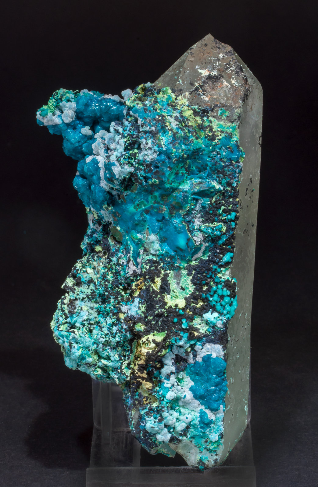 specimens/s_imagesAM1/Chrysocolla-TE58AM1f.jpg