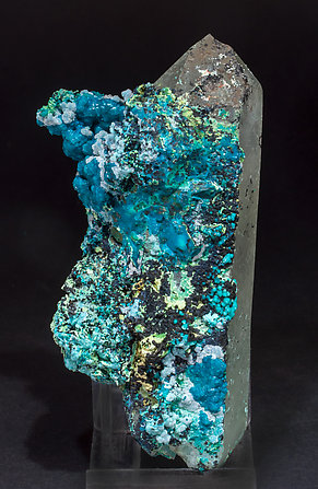 Chrysocolla on Quartz (variety smoky).