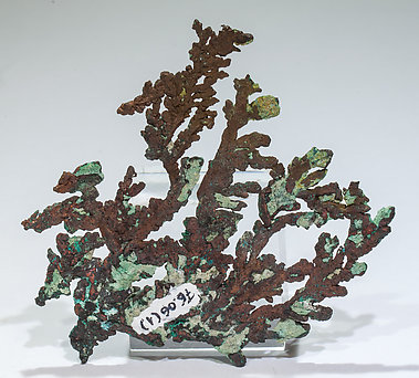Copper with Malachite. Rear