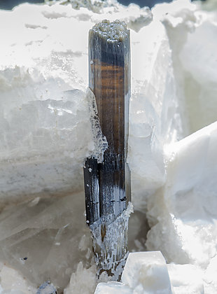 Elbaite-Schorl Series with Feldspar and Quartz. Light behind