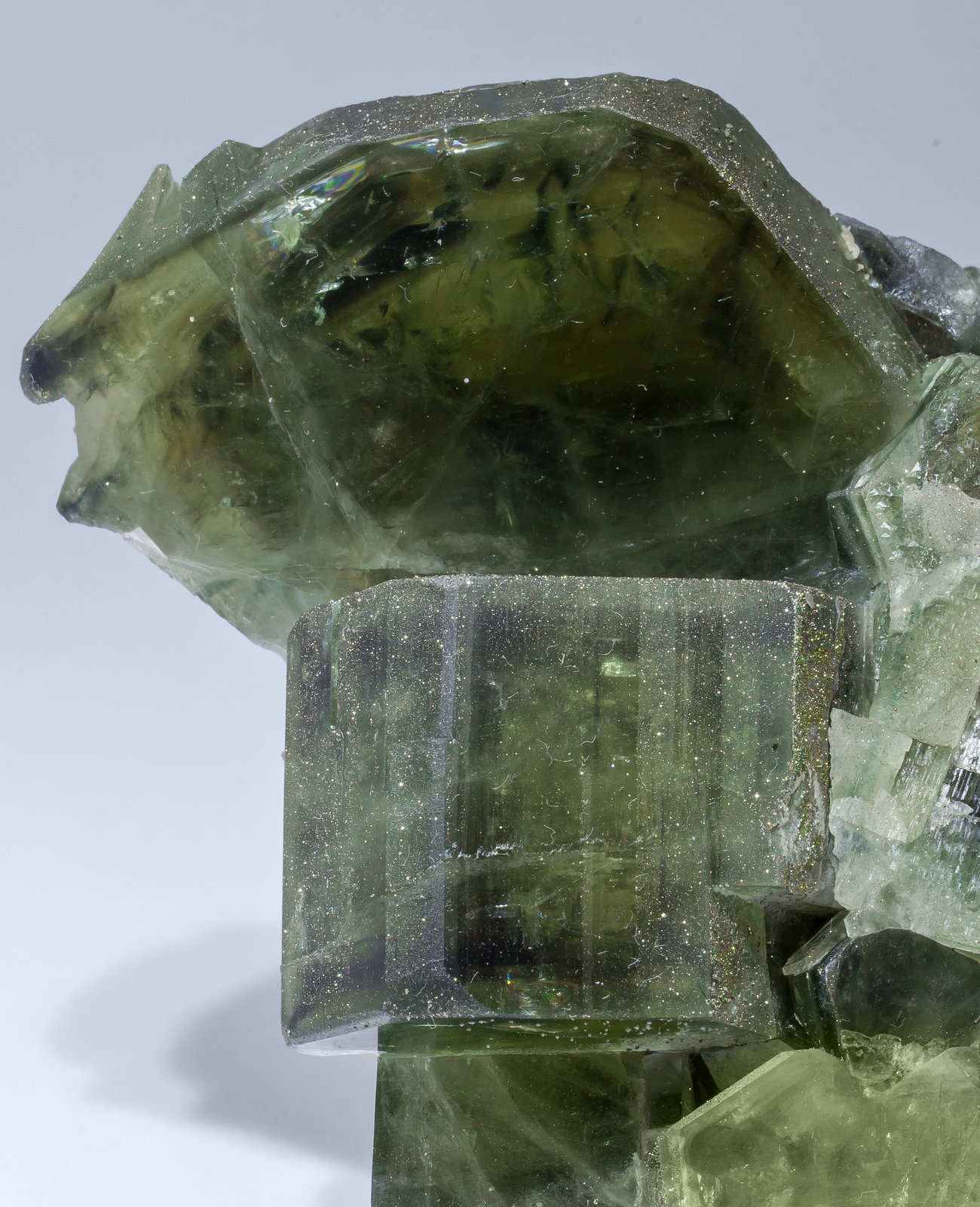 specimens/s_imagesAM1/Fluorapatite-EV91AM1d.jpg