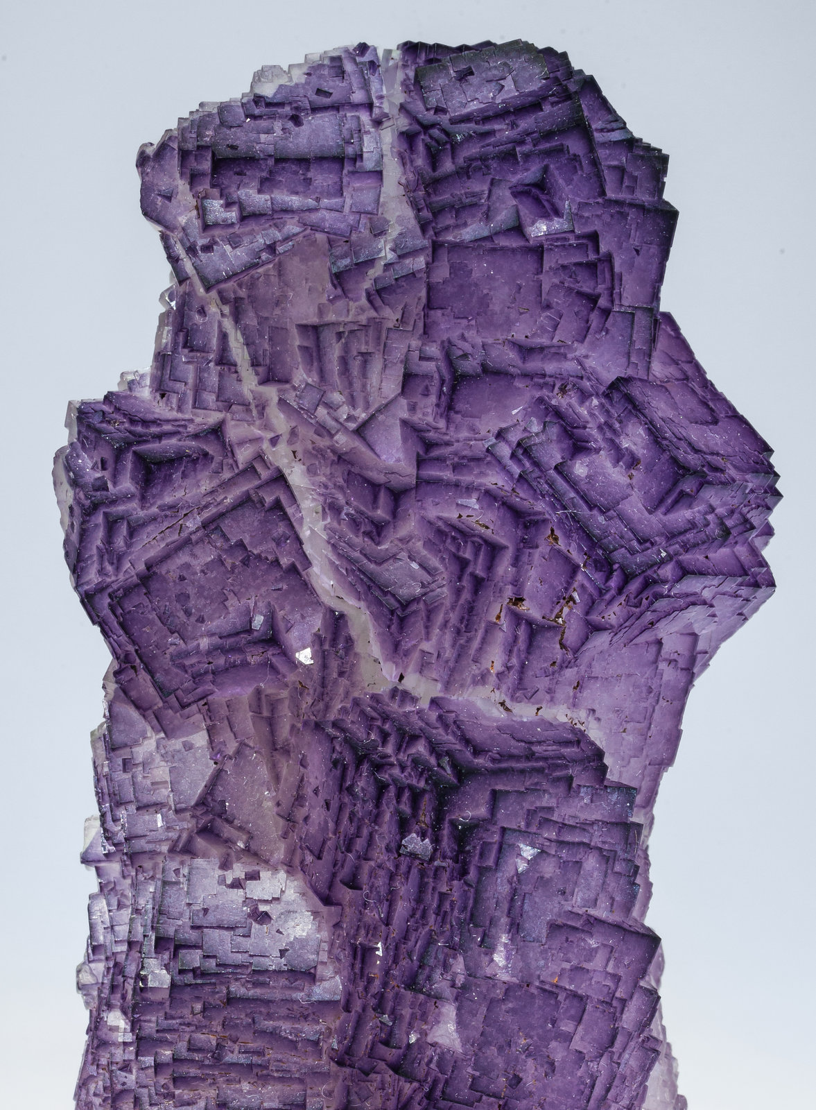 specimens/s_imagesAM1/Fluorite-ET87AM1d.jpg