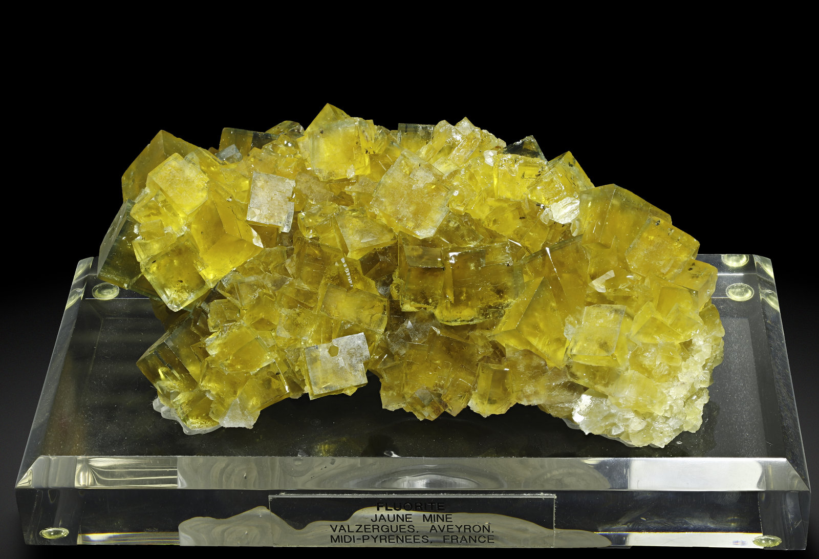 specimens/s_imagesAM1/Fluorite-FR87AM1_3646_f1.jpg