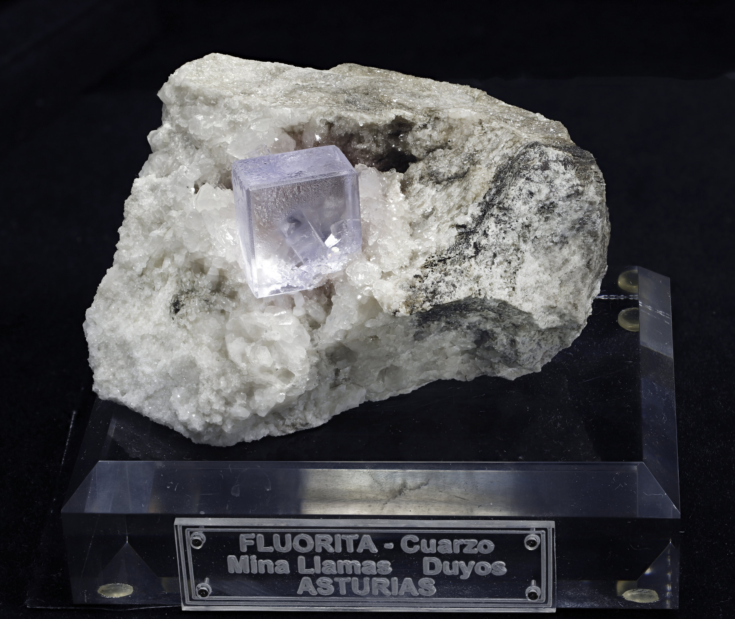 specimens/s_imagesAM1/Fluorite-NF92AM1_3829_f.jpg