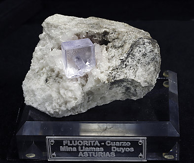 Fluorite with Quartz. Front / Photo: Joaquim Callén