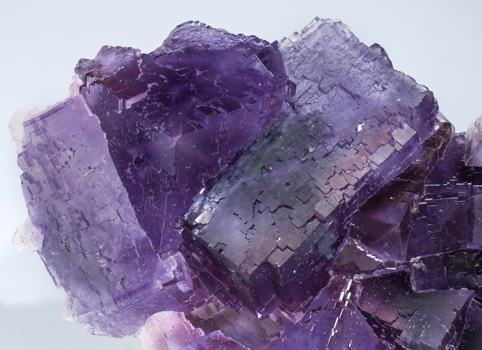 specimens/s_imagesAM1/Fluorite-NH90AM1d.jpg