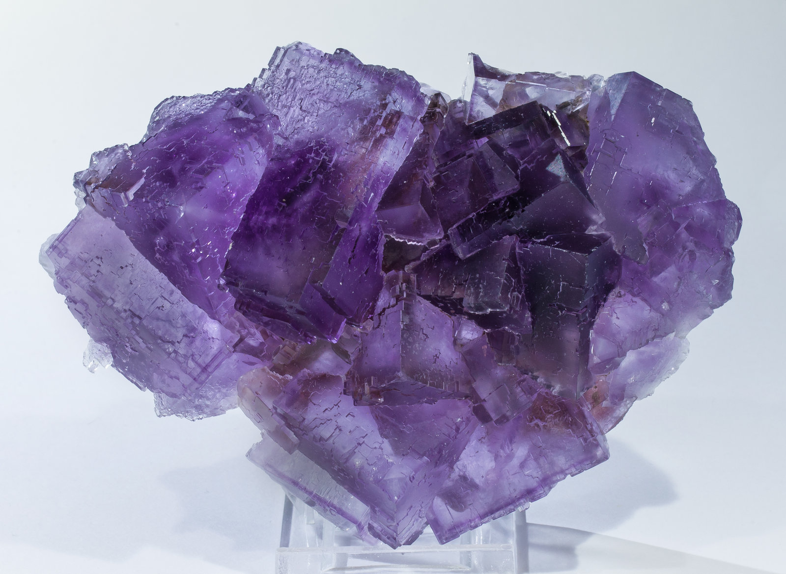 specimens/s_imagesAM1/Fluorite-NH90AM1f.jpg