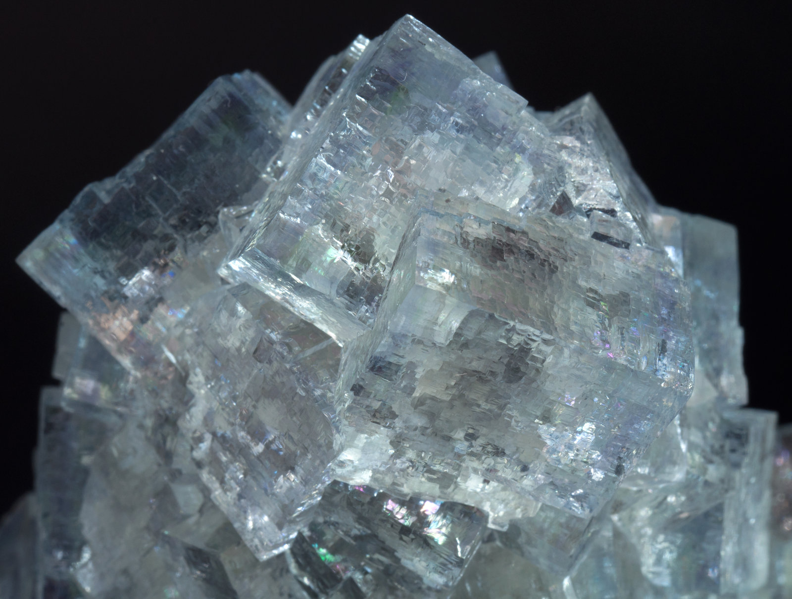 specimens/s_imagesAM1/Fluorite-NL94AM1d.jpg